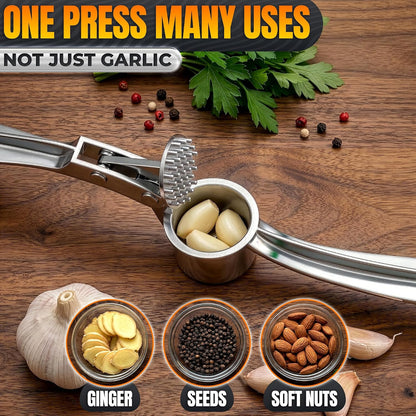Metal Garlic Press with Comfortable Ergonomic Handle, Silver