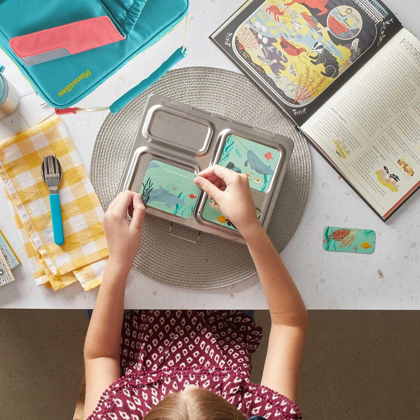 PlanetBox Rover Stainless Steel Bento Box Style Lunch Box Kit for Kids with 5 Compartments – xxxx Edition includes Insulated Lunch Bag, Leakproof Food Containers and Matching Magnets
