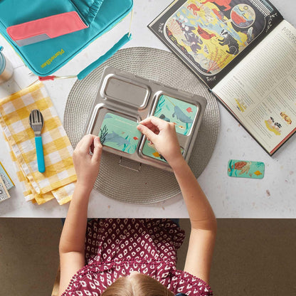 PlanetBox Rover Stainless Steel Bento Box Style Lunch Box Kit for Kids with 5 Compartments – xxxx Edition includes Insulated Lunch Bag, Leakproof Food Containers and Matching Magnets