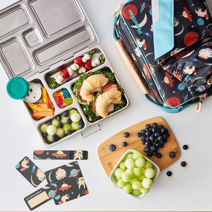 PlanetBox Rover Stainless Steel Bento Box Style Lunch Box Kit for Kids with 5 Compartments – Space Animals Edition includes Insulated Lunch Bag, Leakproof Food Containers and Matching Magnets