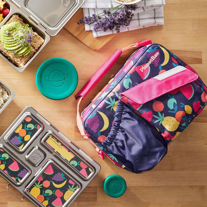 PlanetBox Rover Stainless Steel Bento Box Style Lunch Box Kit for Kids with 5 Compartments – Space Animals Edition includes Insulated Lunch Bag, Leakproof Food Containers and Matching Magnets
