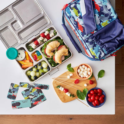 PlanetBox Rover Stainless Steel Bento Box Style Lunch Box Kit for Kids with 5 Compartments – Space Animals Edition includes Insulated Lunch Bag, Leakproof Food Containers and Matching Magnets