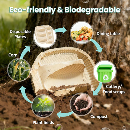 50-Pack Disposable Taco Plates for 2 Tacos & 2 Sides - For Most 4-6 IN Small Hard Shells - Biodegradable Cornstarch Holder Plates - Microwave Safe - Ideal for Fiesta, Bar, Party