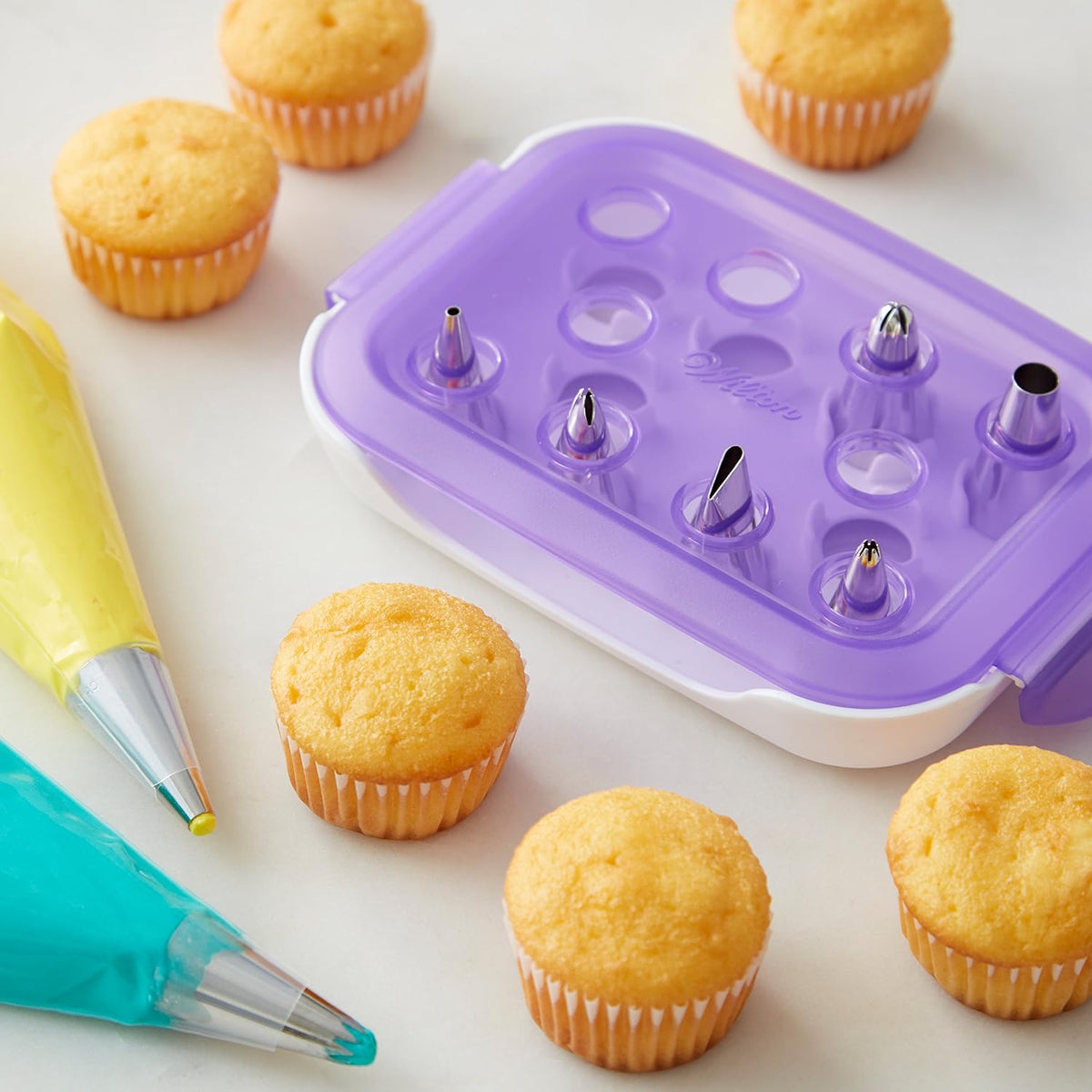 Wilton Master Cake Decorating Piping Tips Set, with Case