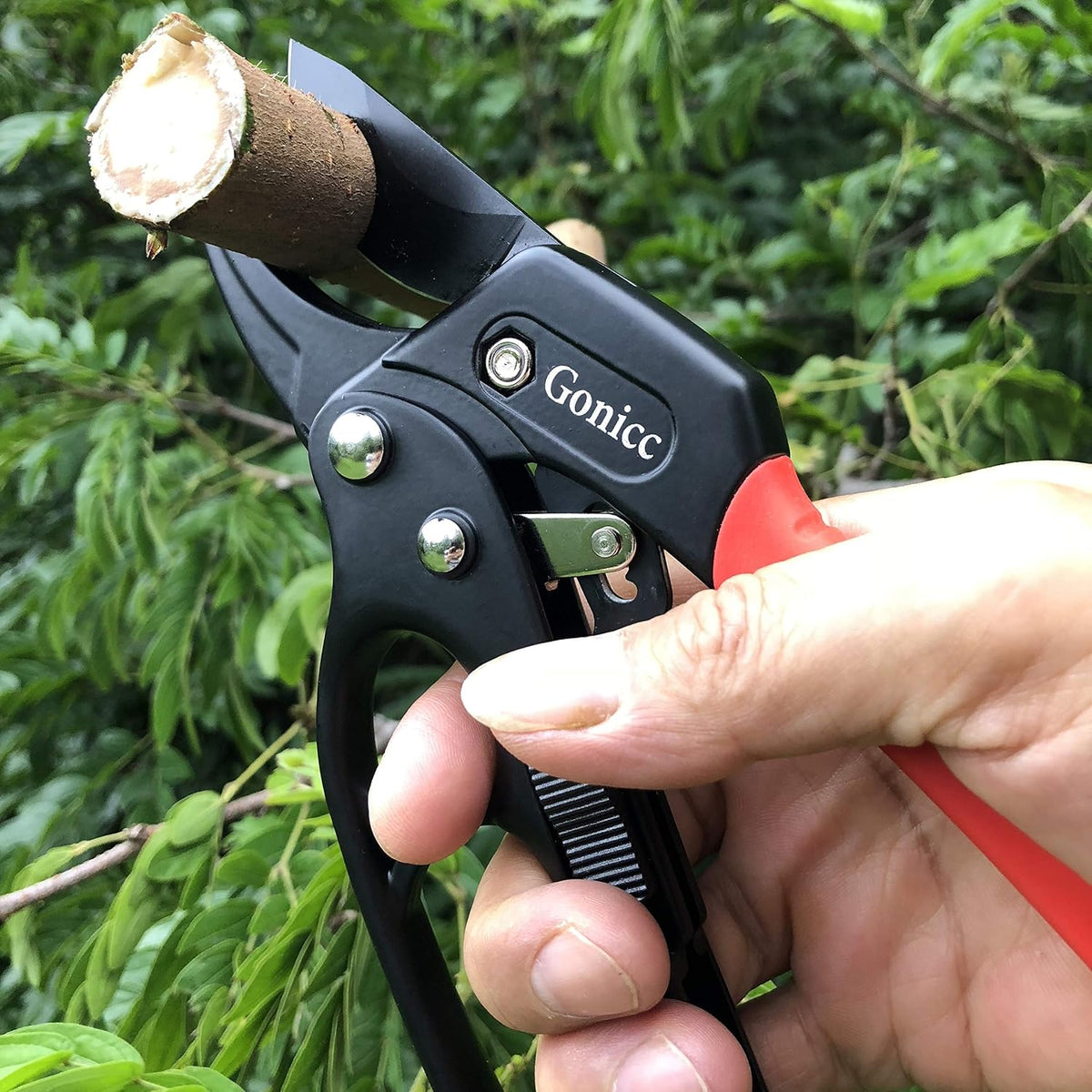 gonicc 8" Professional Premium Bypass Titanium Pruning Shears(GPPS-1003)
