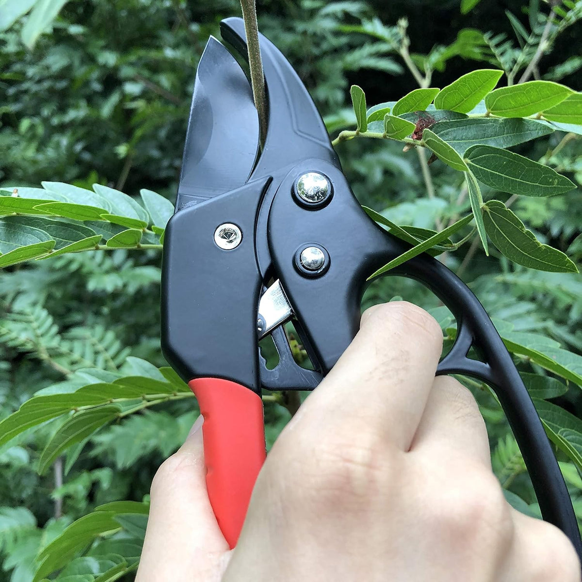 gonicc 8" Professional Premium Bypass Titanium Pruning Shears(GPPS-1003)
