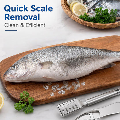6-Piece Fish Scaler & Fish Scale Remover with Sawtooth Edge and Handle