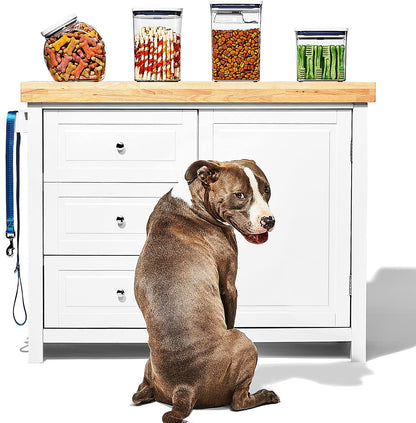 OXO Good Grips Pet POP Container – 6.0 Qt/5.7 L with Half Scoop, Ideal for up to 6.5lbs of Dog Food or 4.5lbs of Cat Food, Airtight Dog and Cat Food Storage Container, BPA Free, Clear